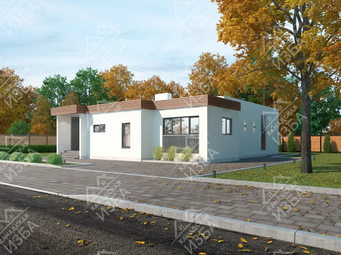 Серебряный бор проект