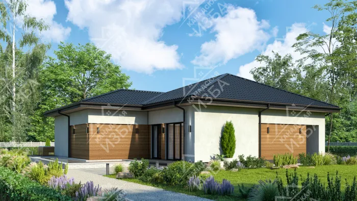  Тиби проект