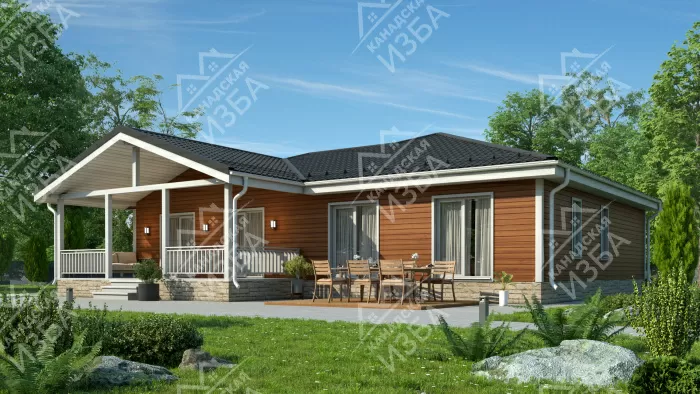 Виви1 проект