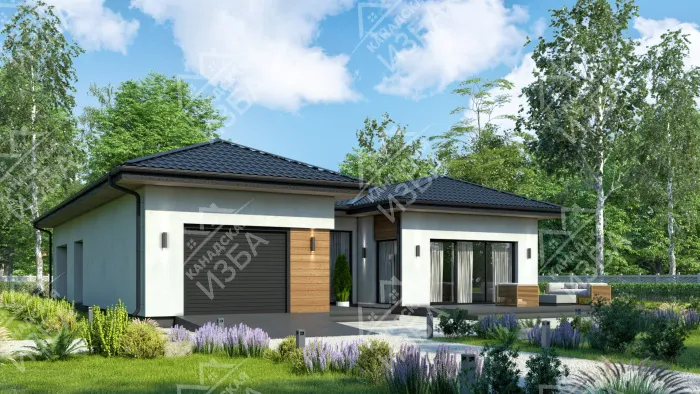  Тиби1 проект