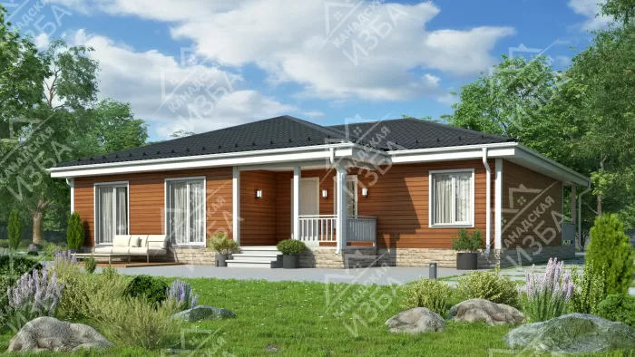 Виви проект