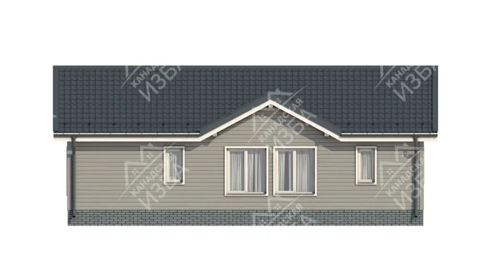 Гани проект